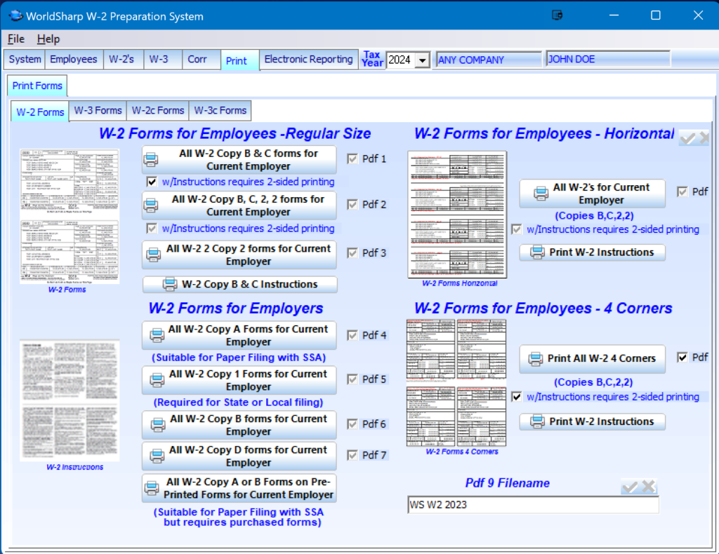 W-2 Preparation System - Print W-2 Screen