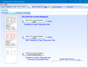 W-2 Preparation System - Print W-3 Screen